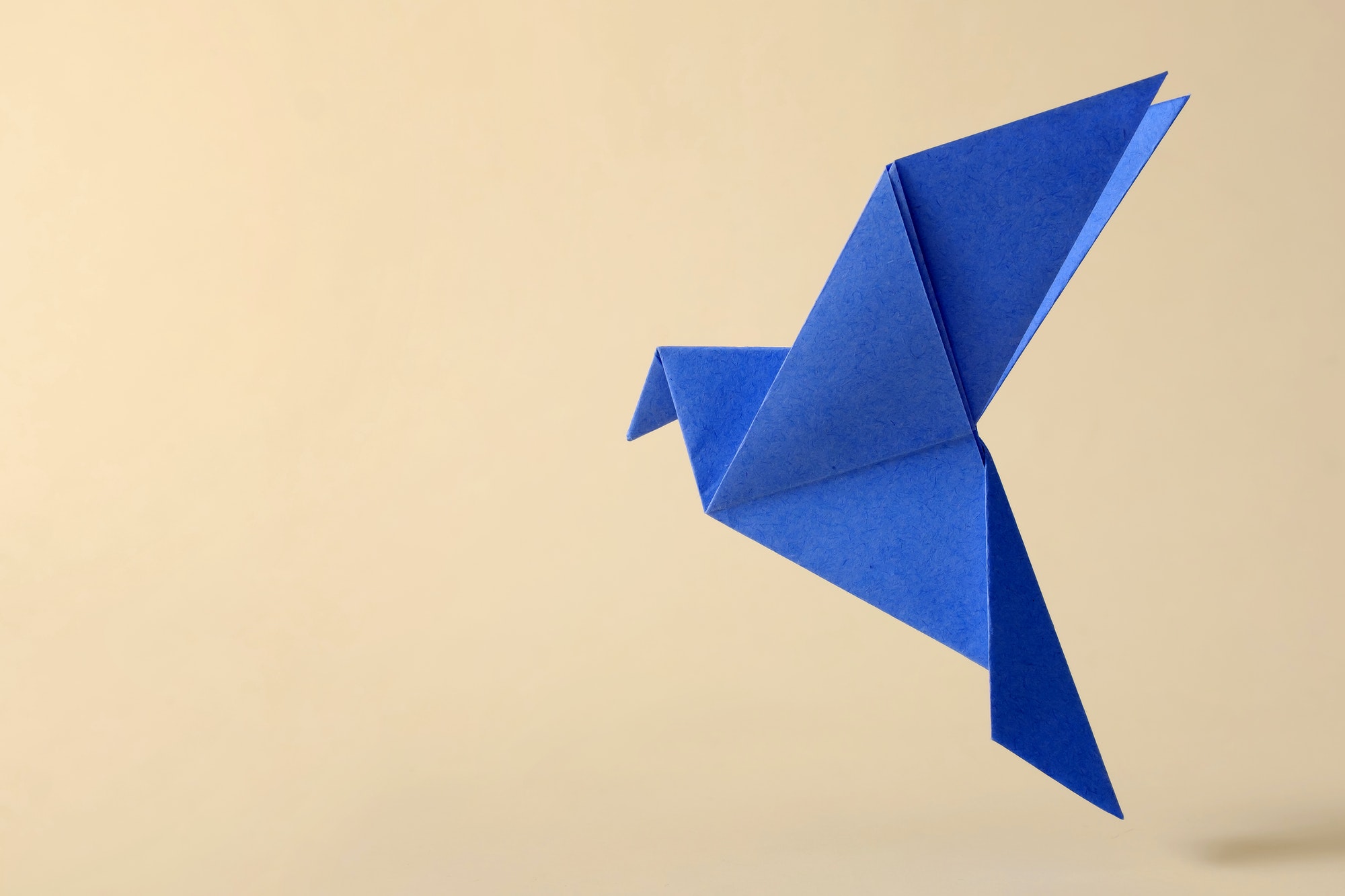 Pigeon flying minimal concept of japanese origami craft handmade toy.